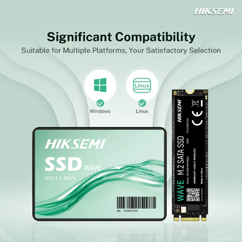 HIKSEMI WAVE Hard Disk Drive S - Samsung Ssd Evo 870 ulasan dan harga